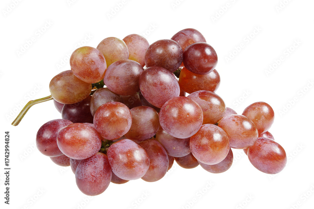 Fototapeta premium Grapes are very fresh on a white background.