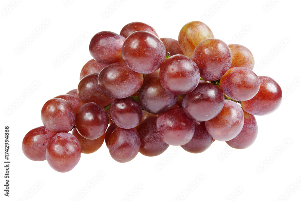 Fototapeta premium Grapes are very fresh on a white background.