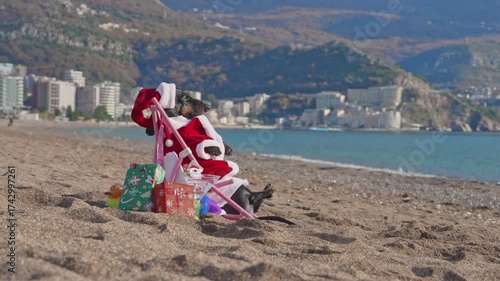 Dog dachshund dressed in santa outfits relaxing on a beach with colorful gift boxes, set against a backdrop of mountains and seaside buildings.