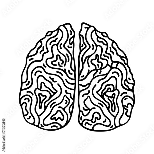 Human brain top view vector illustration. Hand drawn organ with convolutions, two cerebral hemispheres. Symbol of intelligence, wisdom. Black and white doodle. Clipart for psychology, medical projects