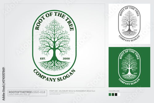 Root Of The Tree Vector Logo Design. Professional Logo Design Template. An Excellent Logo Template for your Company. The Logo can be used with many kind of Business. 
