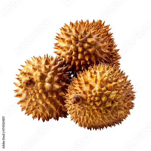 Durian Fruit Stack Asian Delicacy Spiked Texture Tropical Food Exotic Cuisine Gourmet Culinary Asia Market Delicious