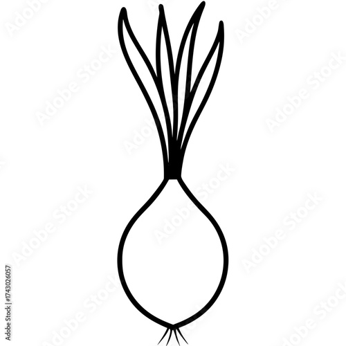 Illustration of a simple onion with long green sprouts and thin roots in a black outline drawing style