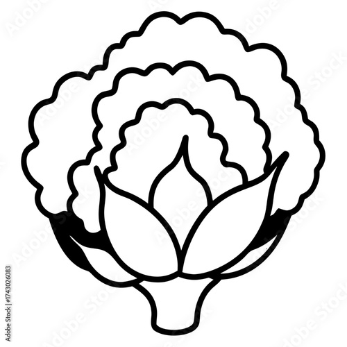 Simple outline illustration of a cauliflower with detailed florets and stem on a white background