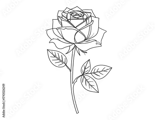 Simple line art rose