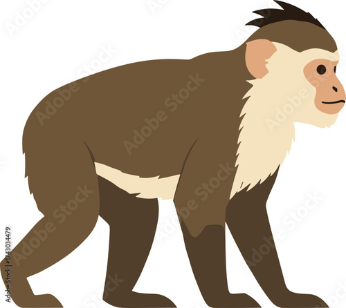 Simple Flat Style Crested Macaque Silhouette Side View Graphic Illustration