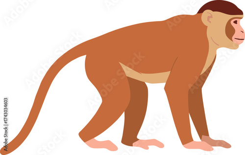 Minimalist Simple Flat Illustration of a Standing Brown Monkey Animal