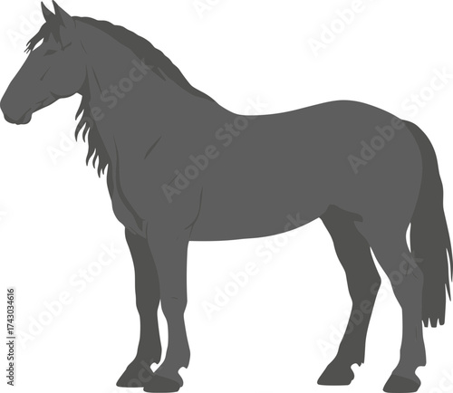 Solid Color Illustration of a Heavy Black Horse Breed Equine Mammal