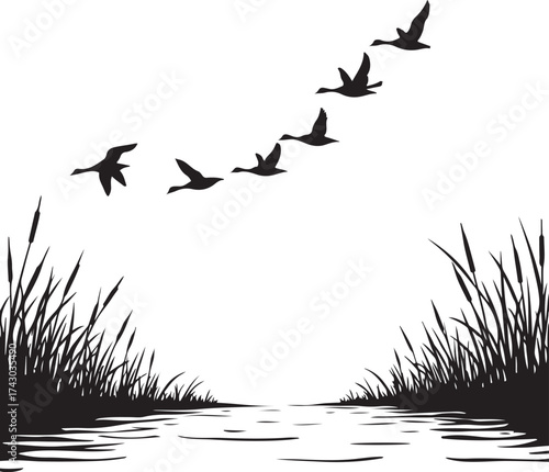 Flock of ducks flying over water and reeds birds