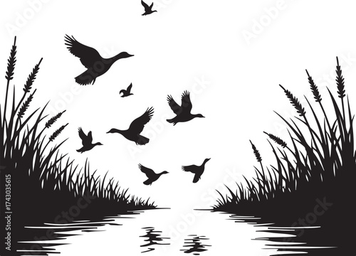 Flock of ducks flying over water and reeds migration 1