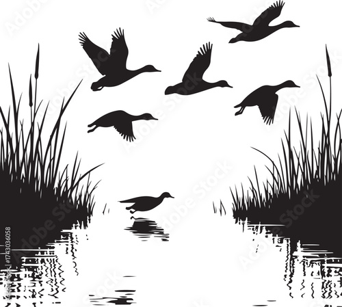 Flock of ducks flying over water with reeds migration