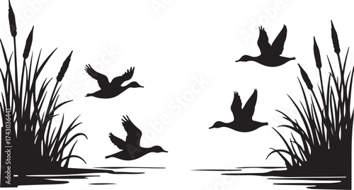 Four ducks flying over water with cattails and reeds