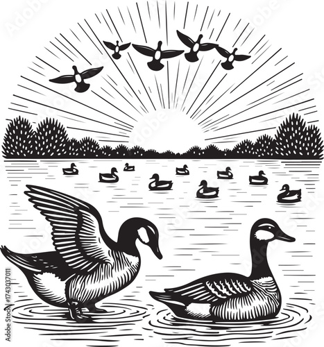 Geese flying over lake at sunrise with ducks swimming