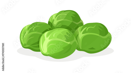 Fresh green brussel sprouts nutrition facts and health benefits vegetable food illustration
