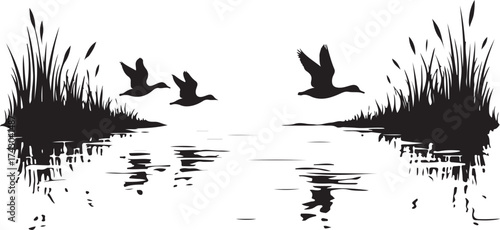 Three ducks flying over water with reeds bird birds