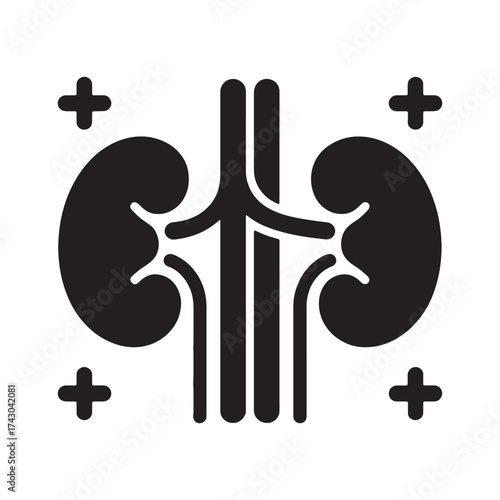 Kidney Health Icon Vector Illustration Urological Organ Medical Symbol Black