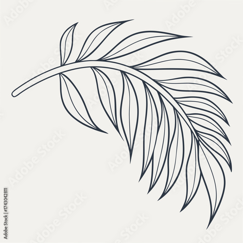 Minimalist line art drawing of a delicate palm frond