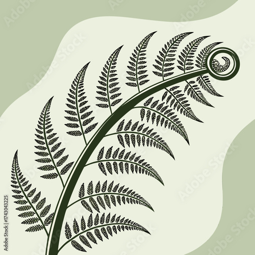 Stylized dark green fern frond unfurling on a pale green background