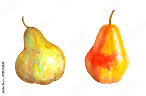 Two pears are illustrated side by side, one in green and the other in orange. The artwork highlights their smooth textures and natural beauty, creating a fresh and inviting scene.