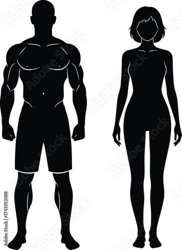 Male and female silhouette, fitness body, human anatomy, black vector, fashion design, body shape comparison, athletic figure, frontal view, art