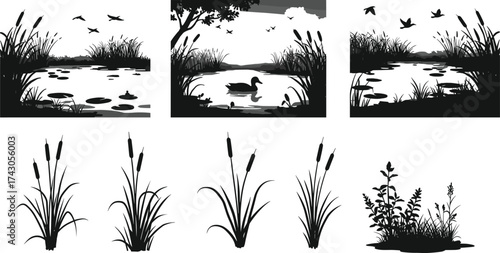 Silhouette of lake landscape with ducks, flying birds, cattail plants, pond grass and nature scenery vector illustration for design