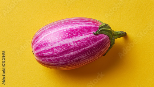 Freshly harvested eggplant on a solid background for culinary use