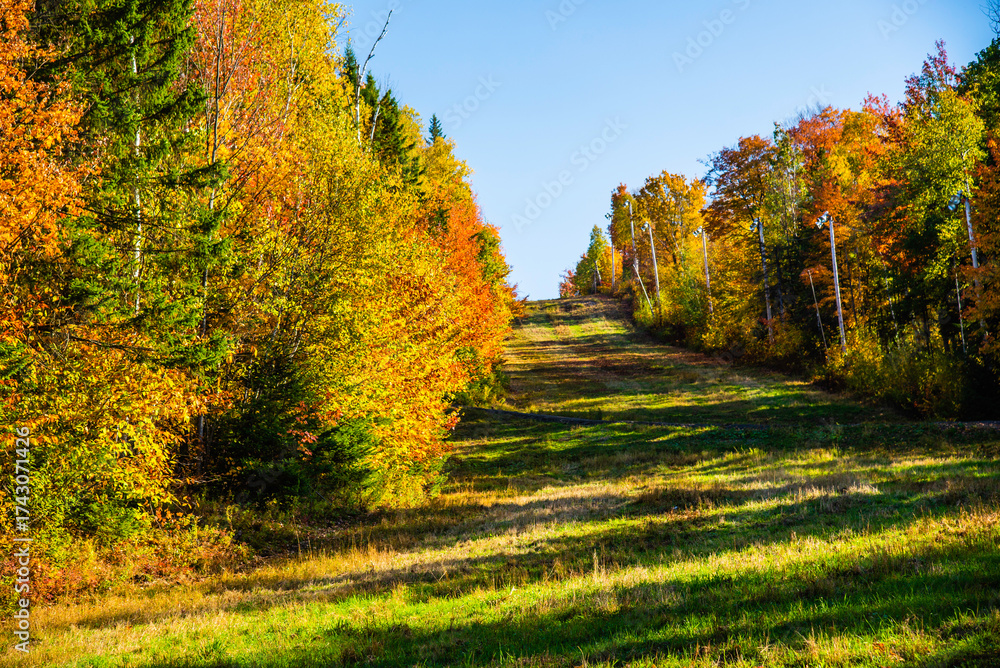 Naklejka premium Saint-Sauveur, Canada - Oct. 5 2025: The beautiful panoramic autumn view from top of Saint-Sauveur mountain in Quebec Canada