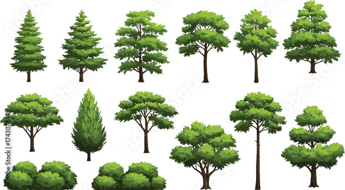 Various green trees and bushes collection, natural forest plants illustration, outdoor landscape elements, eco environment foliage design, garden nature background art