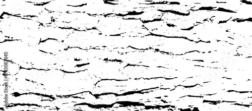 Tree bark texture