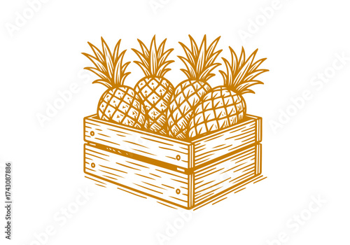 Pineapple hand drawn simple engraved vector illustration