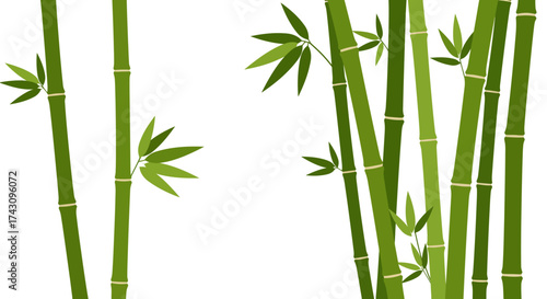 Elegant Bamboo Forest Illustration Natural Greenery and Serene Asian Design