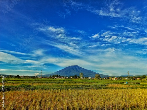 Photos Rice Fields in Ampek Angkek, Agam with Mount Singgalang in Background – Blue Sky
