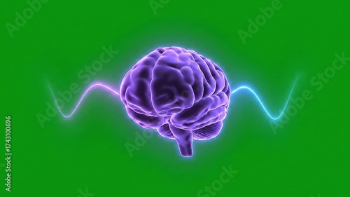 Animated 3D Human Brain Icon with Glowing Neural Activity Waves on Green Screen Background. Concept of AI