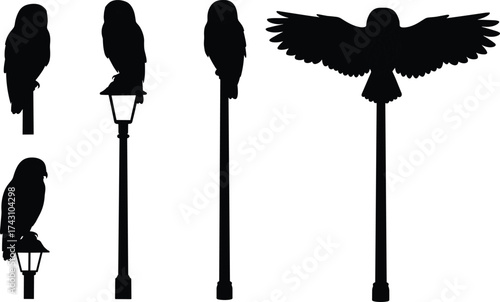 Silhouette birds perched on street lamps, urban wildlife photography, minimal black shapes, flying posture, wings spread, city night contrast, decorative design