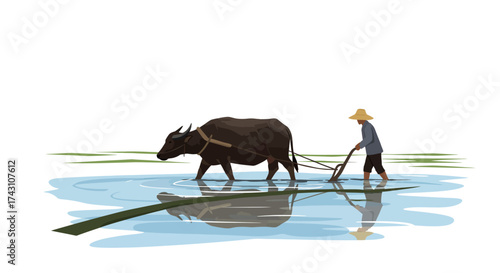 A farmer plows a field with an ox creating a reflection in the water