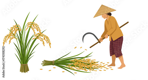 A farmer harvests rice with a sickle with stalks of grain nearby