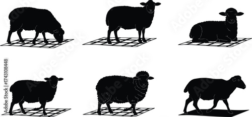 Sheep silhouette illustration, farm animal vector, livestock grazing design, black sheep icon, agriculture graphic, rural farming art, wool livestock symbol, pastoral