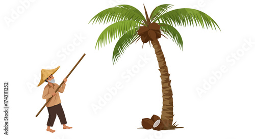 An old man with a pole stands near a coconut tree with coconuts at its base