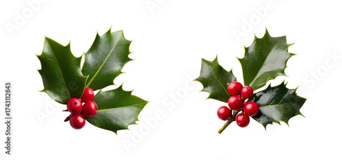 Two sprigs of holly with red berries isolated on transparent background