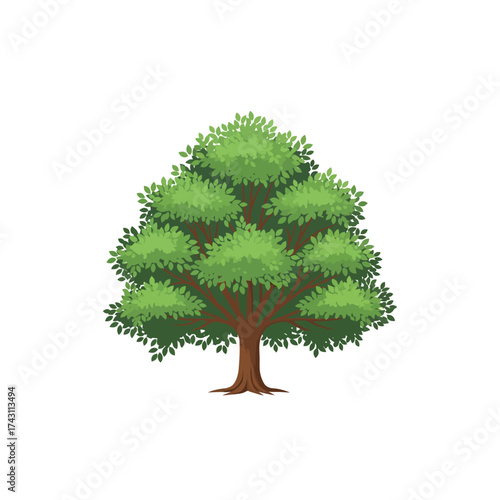 A vibrant green deciduous tree with a thick brown trunk and a full canopy of leaves, set against a white background.