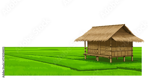 Hut on stilts in a green field likely a rice paddy Roof thatched walls woven casting shadows