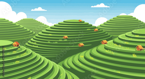 Terraced Tea Plantations in a Green Landscape.