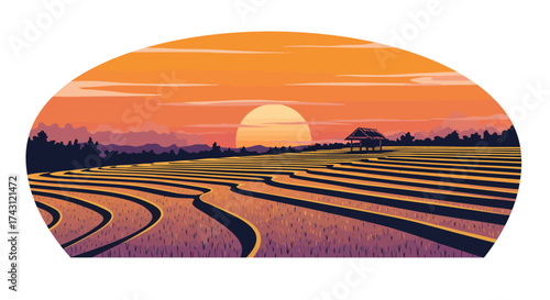 Serene sunset over agricultural fields with layered crop patterns