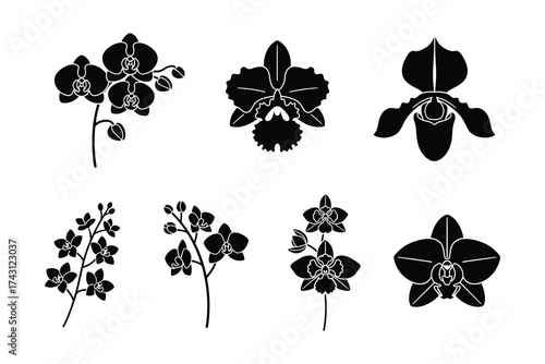 Collection of orchid flower silhouettes isolated on white background
