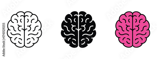Brain icon vector. education, psychology, or smart tech projects, creative mind concepts and neuroscience research symbol. vector illustration.