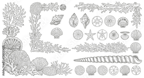 Wallpaper Mural Vintage Nautical Coral and Seashell Collection Elements Torontodigital.ca