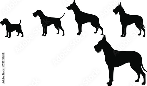 Dog silhouettes, large and small dogs, sitting and standing, black outline, white background, breed diversity, pet lineup,