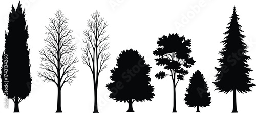 Tree silhouettes, forest shapes, botanical diversity, seasonal trees, nature design, landscape elements, coniferous, deciduous, bare branches, foliage, illustration, comparison, forestry, 