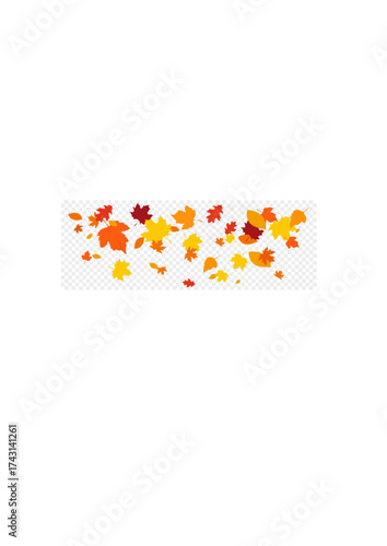 Autumn falling leaves isolated Vector.ai