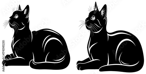 Vector art of two elegant cat silhouettes, showcasing feline grace and simplicity in a minimalist design concept